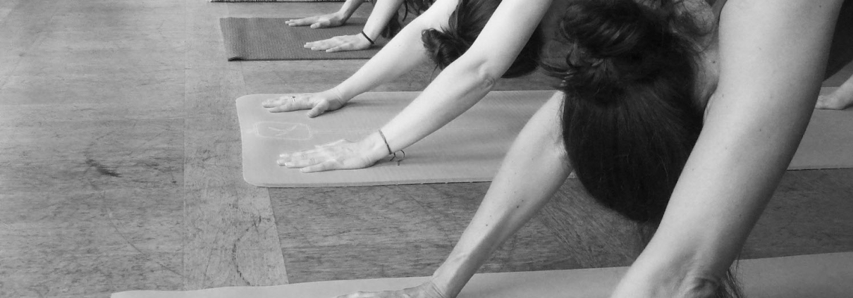 réserver un cours de yoga ashtanga en ligne